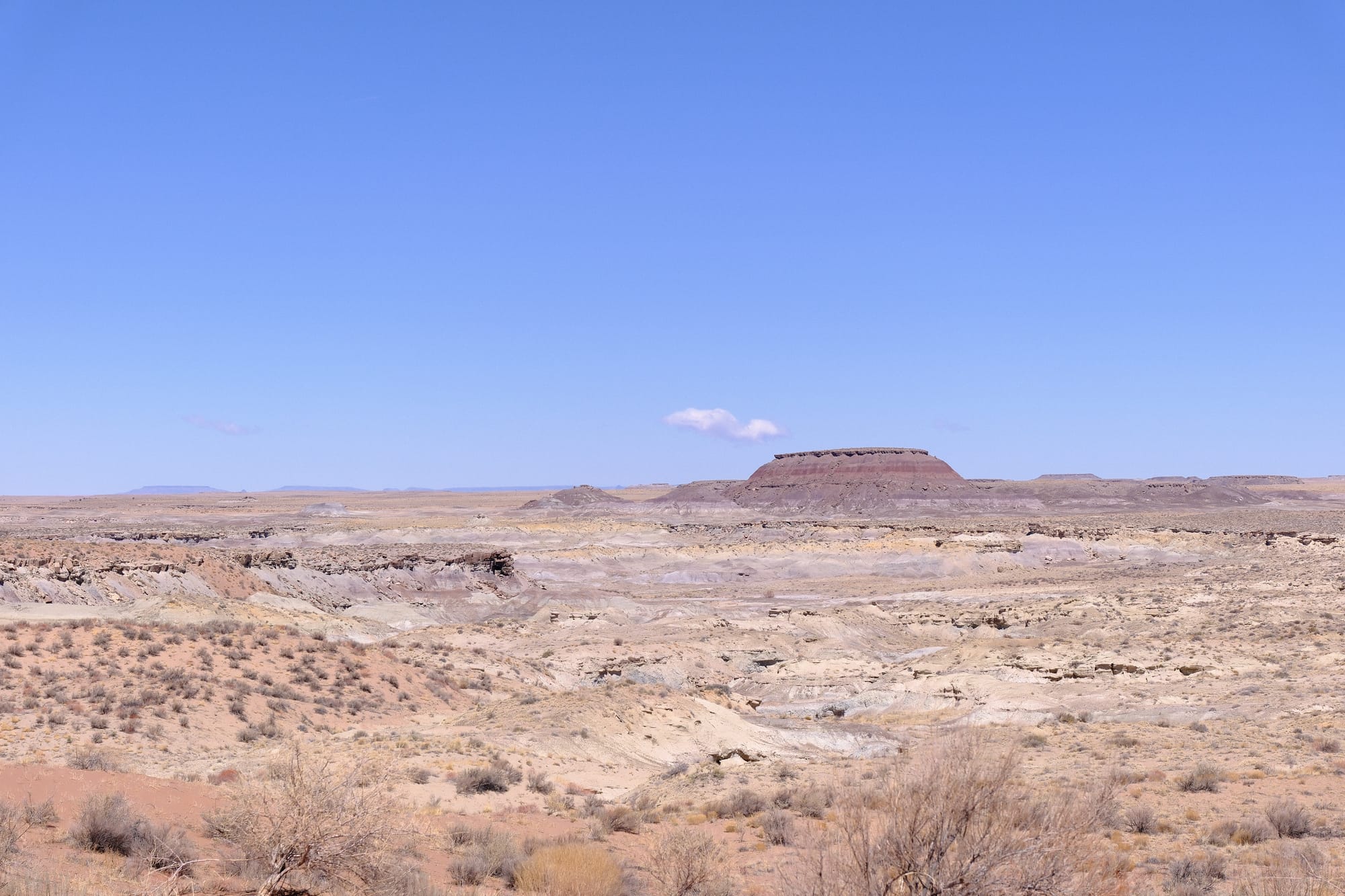 A red rock butte in the distance with a poofy little cloud to the left of it and tan scrub desert in the foreground