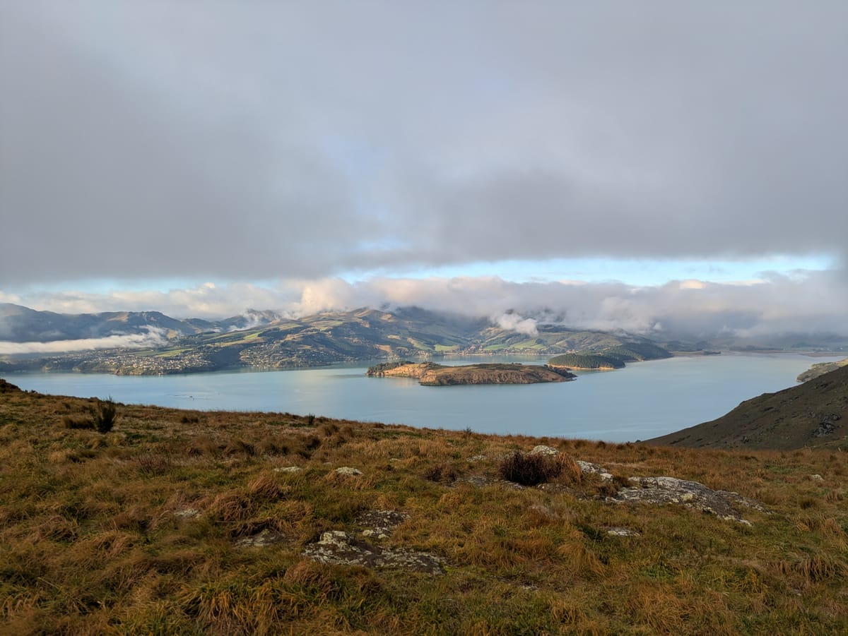 Banks Peninsulat in the distance from Crater Rim road on top of the Port Hills
