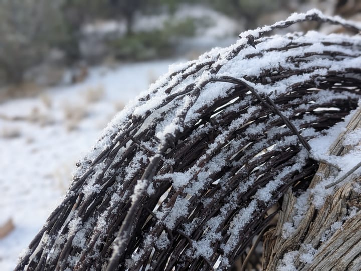 Snowy long run