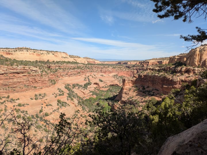 Red rock canyon country that extends to the Colorado River. Scrub brush and Juniper trees
